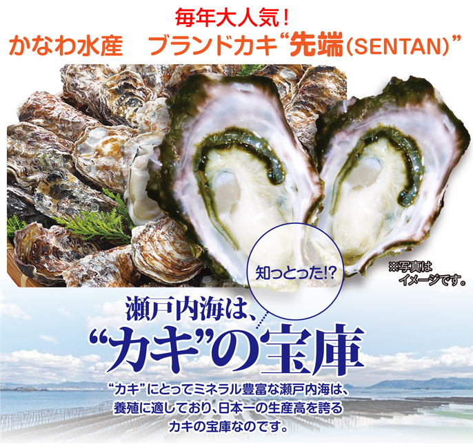 HP用イメージ#