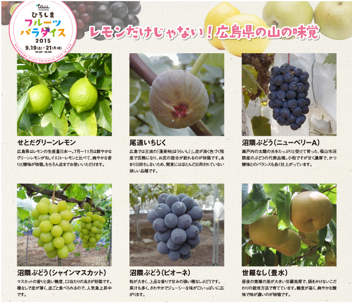 フルーツ裏-1