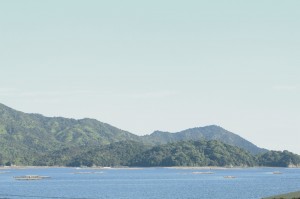風景写真