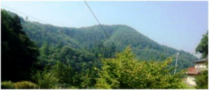 神石郡油木の写真