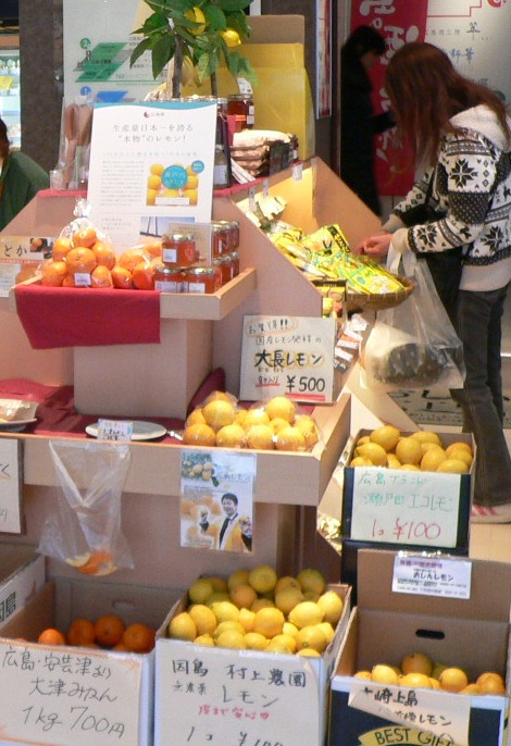 鉄腕DASHに登場！ 広島 瀬戸田のエコレモン