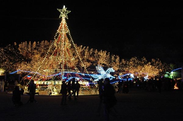 国営備北丘陵公園 ウィンターイルミネーション2012