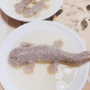 9/24(火)～あの話題の"キモかわいい"『オオサンショウウオこんにゃく』をTAUで数量限定販売♪ - Cc9f7DDb932a5D3eD3aD3eb016b961f3 300x300