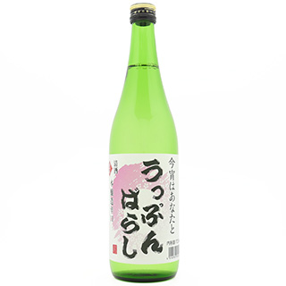 向井櫻 本醸造 うっぷんばらし720ml