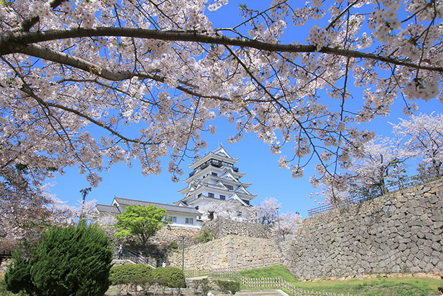 写真deお花見「ひろしま桜名所」