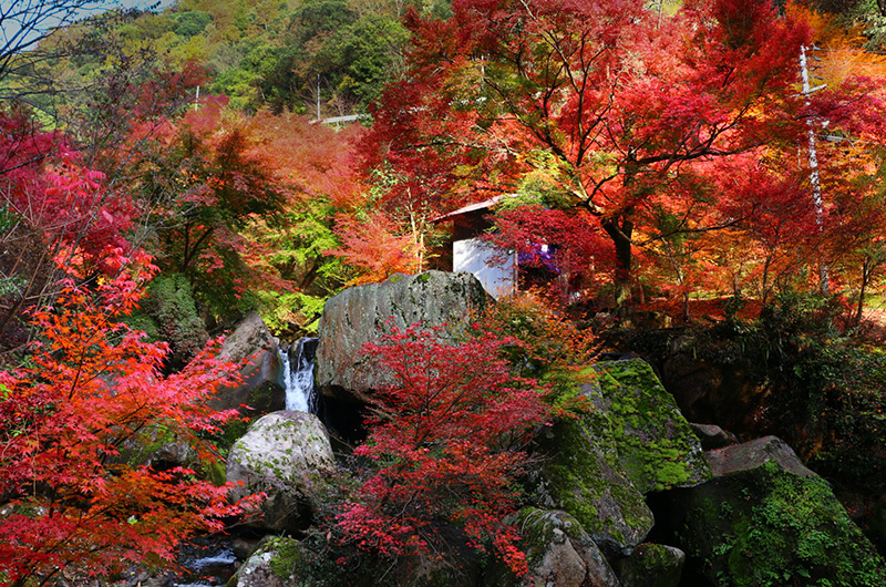 府中市三郎の滝