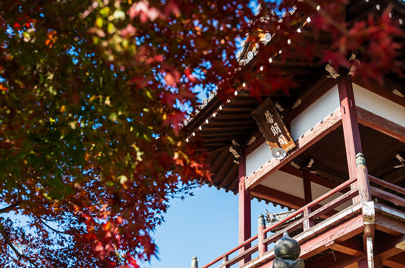 竹原市街並み保存地区（西方寺・普明閣）